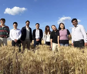 Wheat fields are a special place for Joe Bippert, a native of Washington. Since joining USW in 2021 and moving his family to Manila, Bippert has partnered with millers, bakers, importers and government agencies to strengthen market access and promote U.S. wheat throughout South and Southeast Asia. Photo credit: USW.