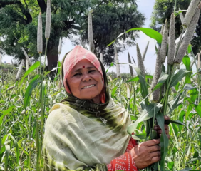 Image courtesy of CGIAR.