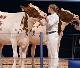 Photo credit: EuroTier.