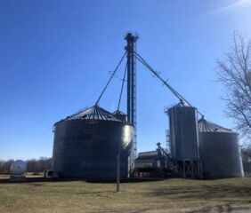 Image courtesy of Nicolle Ritchie, MSU Extension.