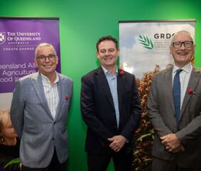 Image courtesy of University of Queensland.