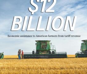 Image courtesy of The White House on X.