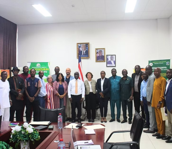 Representatives from implementing institutions posed alongside the project donor partner – the EU Delegation to Liberia Photo courtesy of George A. Harris, AfricaRice.