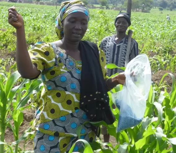 Image courtesy of CGIAR.