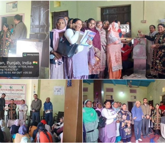 Image courtesy of Punjab Agricultural University.