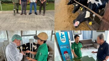 The U.S. Grains & BioProducts Council's (USGBC's) regional office for Southeast Asia & Oceania (SEA&O) recently sent a delegation to Indonesia to visit a series of dairy and feedlot operations to evaluate market opportunities for U.S. corn co-products. Representing the Council were USGBC Regional Marketing Manager Rowena Ngumbang (top left image, rightmost) and USGBC Regional Technical Consultant Dr. Budi Tangendjaja (top left image, second from left). Photo credit: USGBC.