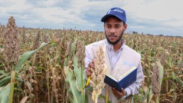 Africa Seed Systems.
Credit: FAO