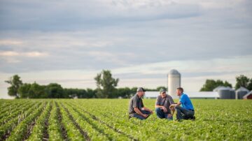 Photo credit: Pioneer.