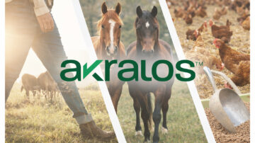 Image courtesy of Akralos.