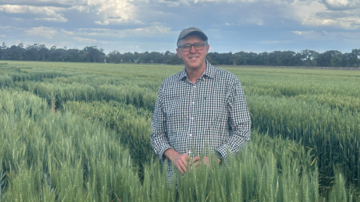 Dr Greg Rebetzke. Photo credit: CSIRO.