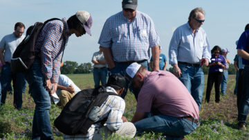 Field days organized by K-State bring together researchers, industry professionals and producers to discuss new technology and practices like regenerative agriculture. Photo credit: Kansas State University.