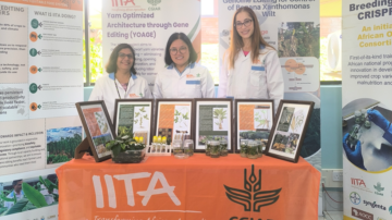 Multi-year partnership aims to strengthen breeding capacity and deliver breakthrough crop varieties for 30 million smallholder farmers across sub-Saharan Africa. Photo credit: International Institute of Tropical Agriculture.