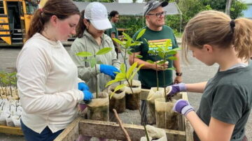 Luis Rodríguez and students working at a Caras con Causa mangrove nursery in Puerto Rico. Image courtesy of the University of Illinois.