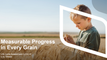 Image courtesy of U.S. Wheat Associates.