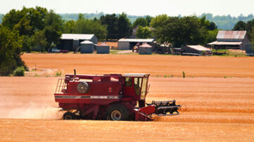 A poor wheat harvest in Pennsylvania has flour mills looking outside the region to source grain.