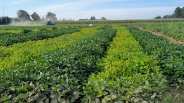 MagNfix trials in the field. Photo credit: Protealis.