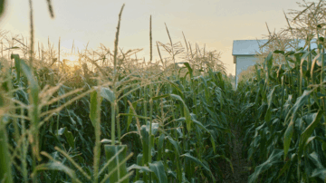 Photo credit: Florida State University.