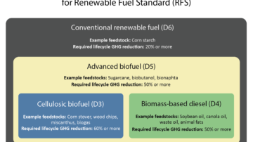 Figure 1. Photo credit: EPA.