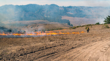 Wildfire in California.