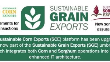 The Sustainable Corn Exports and Sustainable Sorghum Exports portals and related sustainability information have been combined under the new Sustainable Grain Exports platform. Photo credit: U.S. Grains & BioProducts Council.
