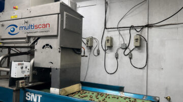 The Multiscan MXV-Bulk x-ray inspection system for nuts. Photo credit: WECO