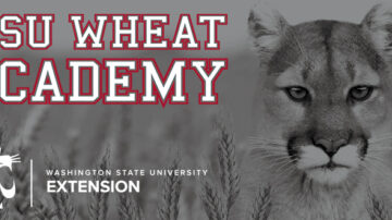 Image courtesy of Washington State University.