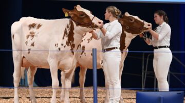 Photo credit: EuroTier.