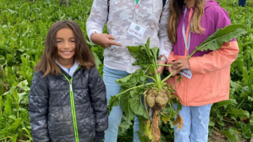 Participants proudly display a freshly harvested sugarbeet highlighting the focus on agricultural innovation and community engagement at the Field Fest event presented by KWS Seeds.