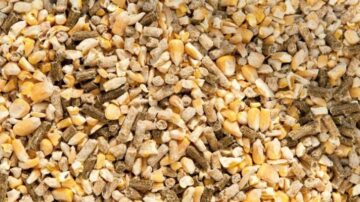 Image courtesy of the International Feed Industry Federation.