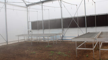 The automated greenhouse forms part of the North-West University’s efforts to strengthen research in agriculture and food security, while preparing students and researchers to respond to changing environmental and production conditions. Photo credit: North-West University.