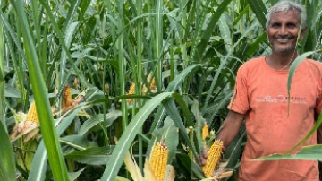 Image courtesy of the Indian Council of Agricultural Research.