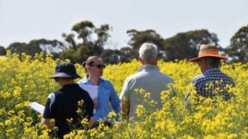 Dr Aves is working to connect people, projects and organisations so research delivers real impact for growers. Image courtesy of Dr. Charlie Aves through the Grains Research and Development Corporation (GRDC).