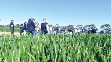 Attendees at SFS AgriFocus rotated through several trial sites hearing from researchers and agronomists on a range of topics including nitrogen management. Image courtesy of Melissa Marino.