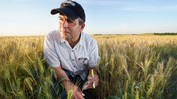 Mohsen Mohammadi, a researcher in Purdue University’s College of Agriculture, is co-founder of Novin AgriTech. The company, which combines expertise and biotechnology to develop novel traits for cereal crops, has received an SBIR Phase I grant from the U.S. Department of Agriculture’s National Institute of Food and Agriculture. Photo credit: Purdue Agricultural Communications/Tom Campbell.
