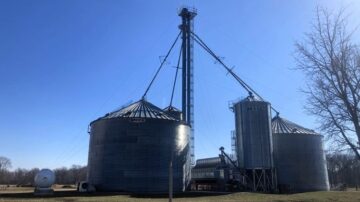 Image courtesy of Nicolle Ritchie, MSU Extension.