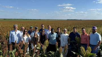 Photo credit: U.S. Grains & BioProducts Council.