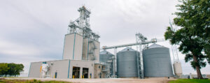 EDM Feedmills August 47 Edit 2 High Res