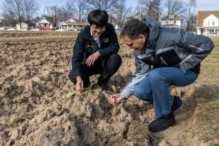 Su and Gassmann collaborate to study the specific role the SRFR1 protein plays in plants. Photo credit: University of Missouri.