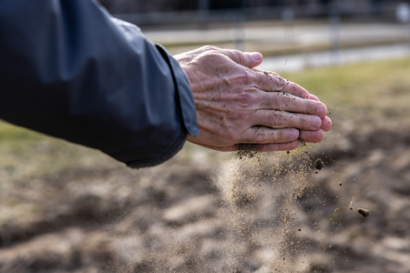 Gassmann's research helps scientists better understand the underlying cellular biology regulating root growth. Photo credit: University of Missouri.