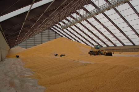 Flat storage allows coops to handle millions of bushels efficiently while maintaining grain quality and minimizing bottlenecks.