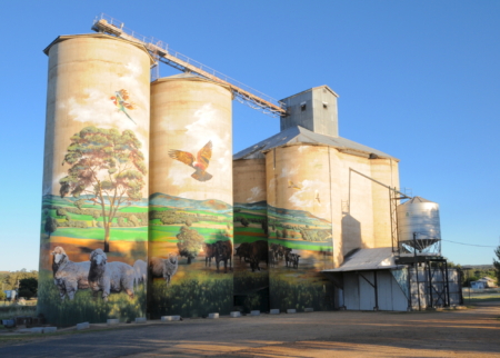 Completed 2018, 3rd painted in New South Wales, 28th to join Australia’s Silo Art Trail.
In March 2018, Mongolian-born Melbourne artist Heesco (Khosnaran Khurelbaatar) transformed the 1925 Grenfell silos into a vibrant tapestry as he painted Grenfell’s mural, weaving together pastoral scenes in the rolling farmlands of the Weddin Shire. During the day, the facility is a functioning grain elevator; at dark, changing colored lights illuminate Heesco’s masterpiece.