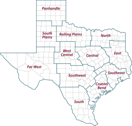 A map of the 12 Texas A&M AgriLife Extension Service districts. Photo credit: Texas A&M AgriLife Extension.