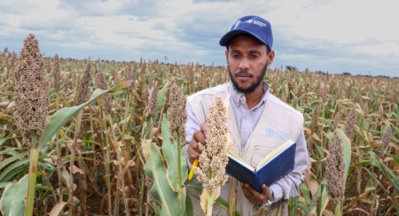 Africa Seed Systems.
Credit: FAO