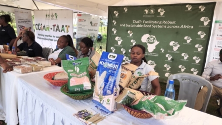Credit: AfDB