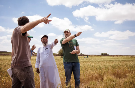 From left to right: Miguel Sanchez, Meryem Zeim, and Filippo Bassi talking with a farmer who evaluated the Jawahir durum wheat variety on his farm located in the dry region of Safi in Morocco. Photo credit: Ahmed Isamili/ Crop Trust.