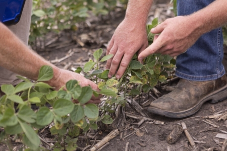 Photo credit: Pioneer.
