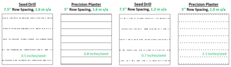 Figure 4. Differences in seed distribution achieved by a precision planter with 5-inch row spacing, and a traditional grain drill with 7.5-inch spacing, in high (1.6 million seeds per acre) and optimal seeding rates for each equipment shown for comparison. Intra-row spacing between seeds is also shown for each scenario.
