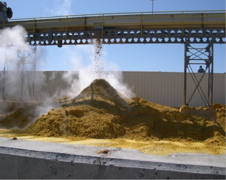 Figure 3. Distillers wet grain (DWG). Photo by K. A. Rosentrater.