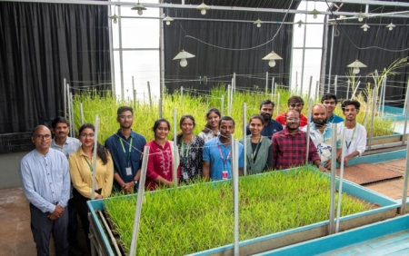 The Finger Millet Breeding team at ICRISAT. Photo credit: ICRISAT.
