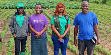 The IITA soybean breeding unit is implementing the soybean component of the EU-funded Seeds4Liberia project in collaboration with MoA, CARI, NaFAA, SDCA, and LACRA. Image courtesy of the IITA.
